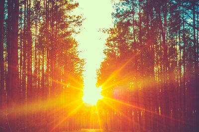 Aaj Ka Panchang, January 8, 2024: Tithi, Vrat, and Today’s Shubh, Ashubh Muhurat