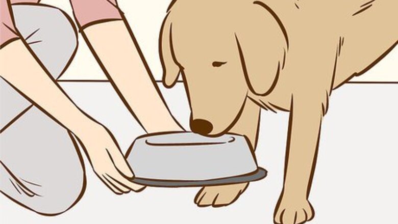 How to Use a Pet to Help You Cope with Chronic Pain