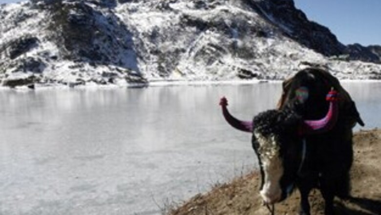 Hot now! Offbeat honeymoon destinations