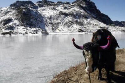 Hot now! Offbeat honeymoon destinations