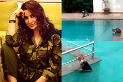 Tisca Chopra Shares Video Of Monkeys Having 'Pool Party' While Humans Are Locked Down