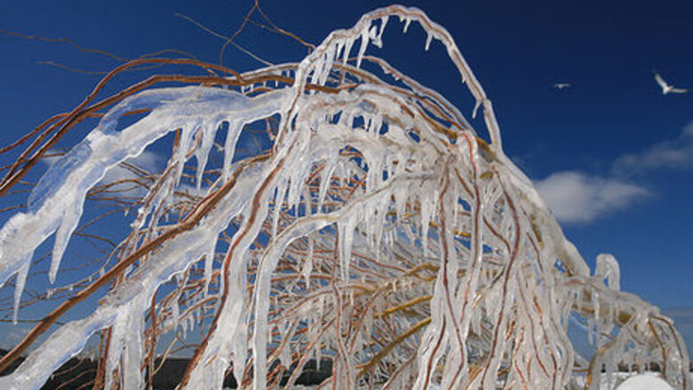 How to Feel Happy During a Cold Winter