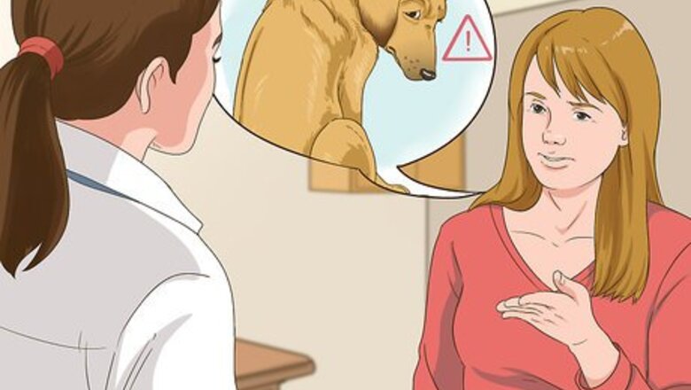 How to Manage Behavioral Dysfunction in Older Dogs