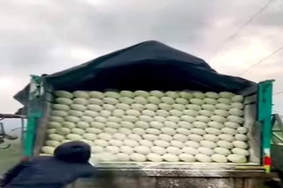 Video Of Man Throwing Chemical Powder On Cabbages On A Truck Viral