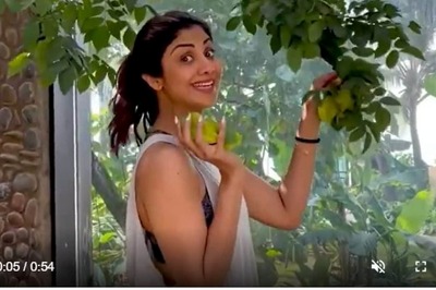Shilpa Shetty Plucking Carambola Fruits from Her Garden is Like a Kid in a Chocolate Factory