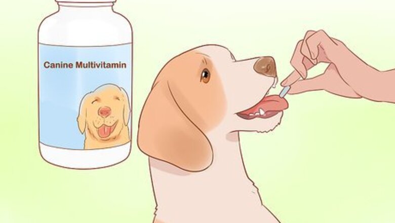How to Treat a Dog Naturally for Valley Fever