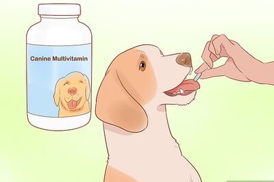 How to Treat a Dog Naturally for Valley Fever