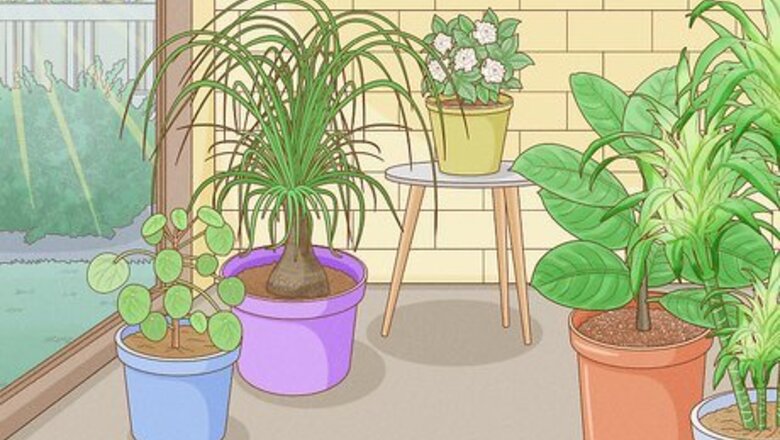 How to Decorate With Houseplants