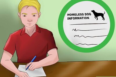 How to Save a Dog Whose Owner Is Relocating