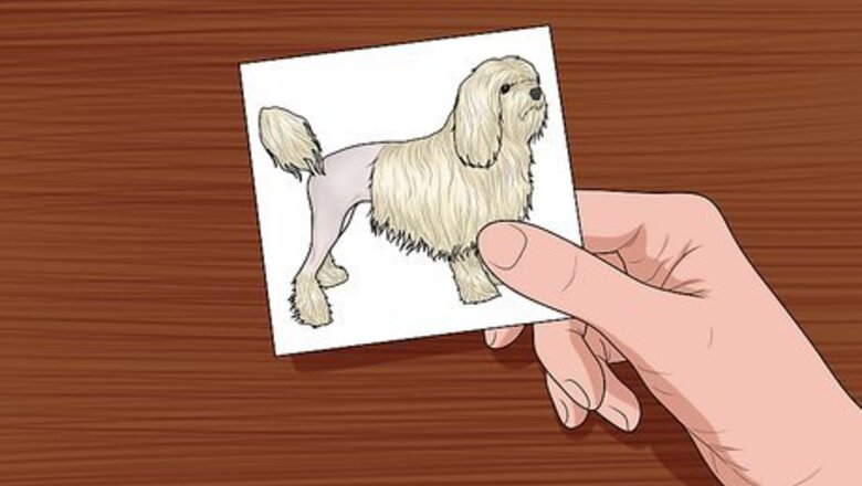 How to Make Lost Pet Signs