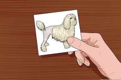 How to Make Lost Pet Signs