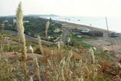 Govt to go slow on IT SEZs