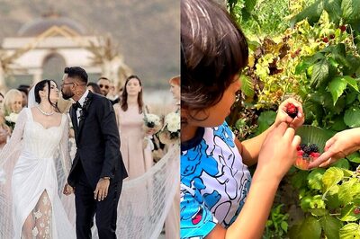 Natasa Stankovic Shares Adorable Video Of Son Agastya Picking Blackberries After Hardik Pandya Separation