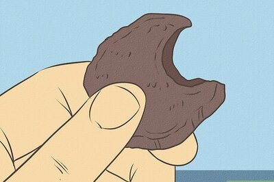 How to Treat a Dog Who Ate Chocolate