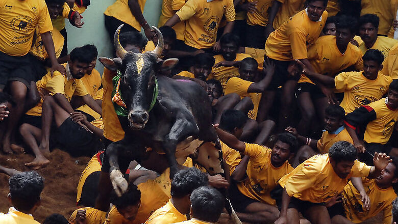 Bill to Replace Jallikattu Ordinance to be Placed in Assembly: TN Governor