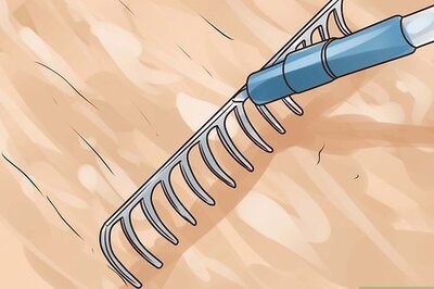 How to Make Your Own Potting Mix