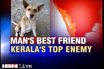 Kerala government faces criticism for dog culling even as state records over 1,20,000 dog bite cases in a year
