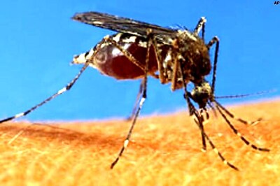 Dengue scare grips Mumbai again, death toll reaches 4