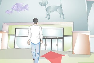 How to Buy Pet Training Supplies