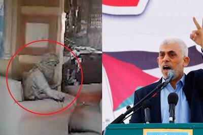 True Palestine Hero Or Cowardly Hamas Murderer: Drone Video Of Yahya Sinwar’s Last Moments Sparks Debate
