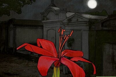 A Guide to the Symbolism & Spiritual Lore of Red Spider Lilies