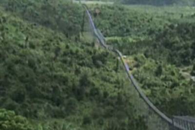 Government to push Rs 46000 crore mission to increase forest cover