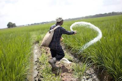 New Seeds Bill Can Change Indian Agriculture, But Speculation Looms Over Implementation