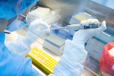 Scientists Publish Images of Coronavirus Infected Cells in New Research