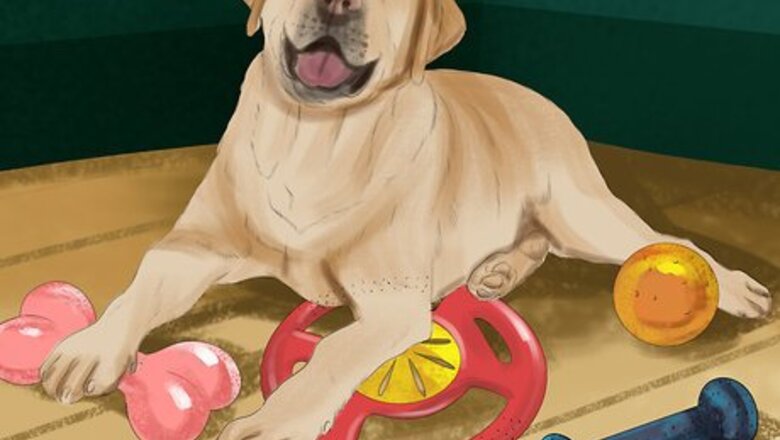 How to Relieve Your Dog's Boredom