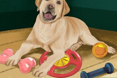 How to Relieve Your Dog's Boredom