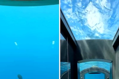 This Video Of World’s Most Expensive Underwater Hotel Room Gets A Thumbs Down From Internet