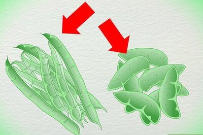 How to Dry Beans
