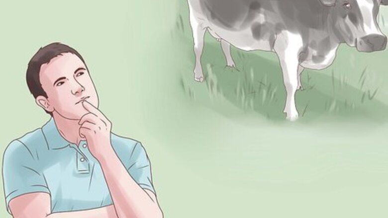 How to Buy Cattle