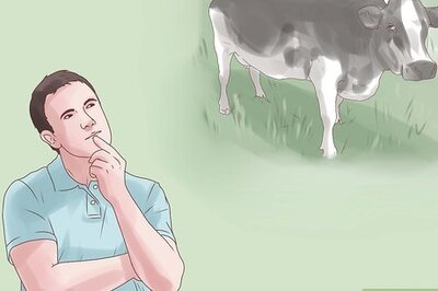 How to Buy Cattle