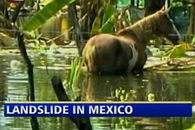 Mexico landslide leaves about 1000 dead