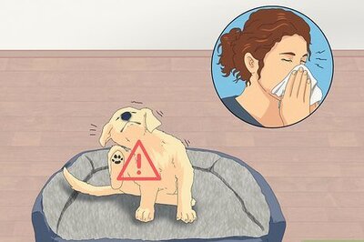 How to Give Away Your Dog when You Don't Want To