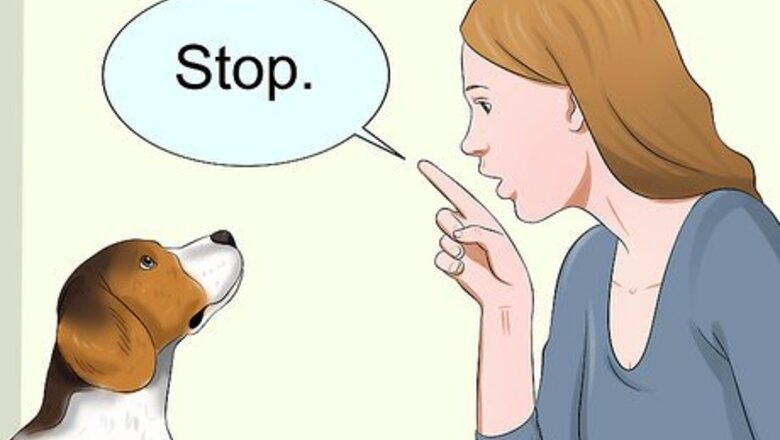 How to Train Your Dog to Be Calm