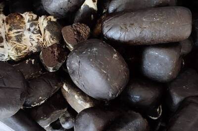 Mumbai Police Seize Vehicle with Charas Worth Over Rs 14 Cr; 2 Women Among 4 Held