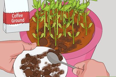 How to Fertilize a Garden Cheaply