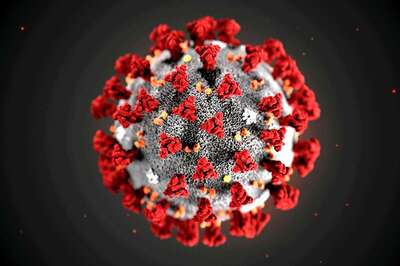 No Major Mutation Observed in Novel Coronavirus, Vaccine Strategy Unlikely to be Hindered: Study