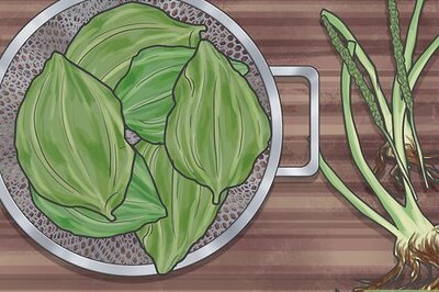 How to Eat Plantain Leaves