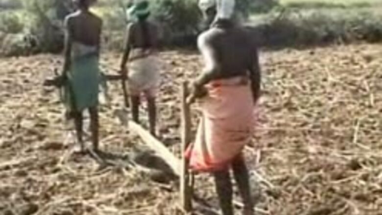 Jharkhand villagers defy Maoist diktat
