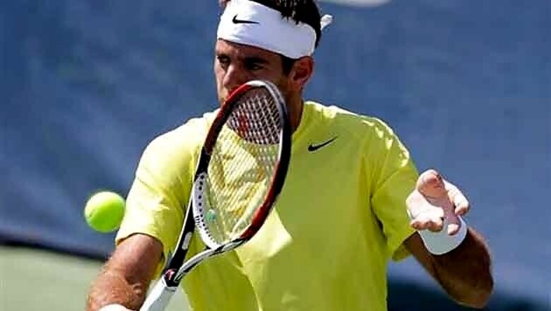 Del Potro beats Isner for third title in Washington