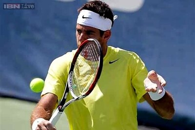 Del Potro beats Isner for third title in Washington