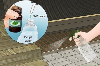 How to Keep Spiders Away from Your Patio