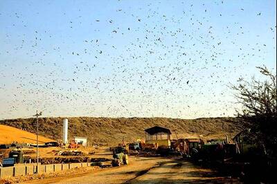 AAP Moves NGT Against Proposed Landfill Site in East Delhi