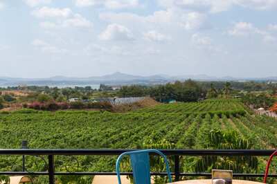 My Intercity Travel To Nashik Was Made Super Easy with Uber Easy Travel Apps