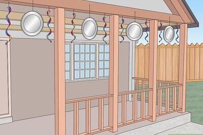 How to Keep Birds Off Your Porch