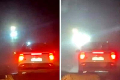 Watch: Tiger Succumbs To Injuries After Getting Hit By Car In Maharashtra Sanctuary