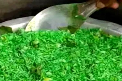 Green Biryani in City of Joy! TMC's Thumping Victory in KMC Polls Brings Mutton Delicacy in New Hue